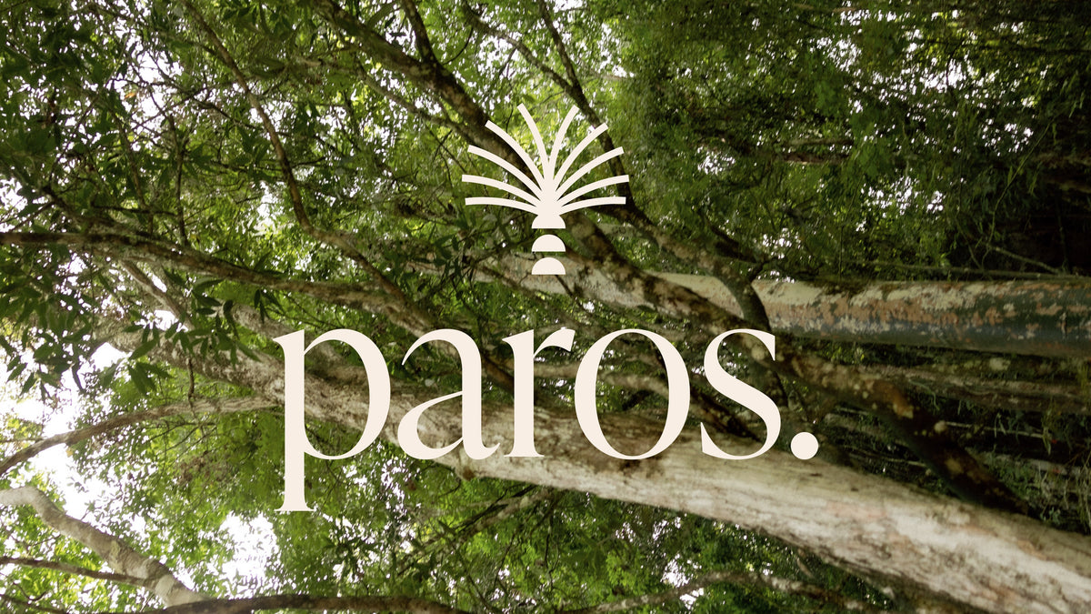 Why We Built paros.